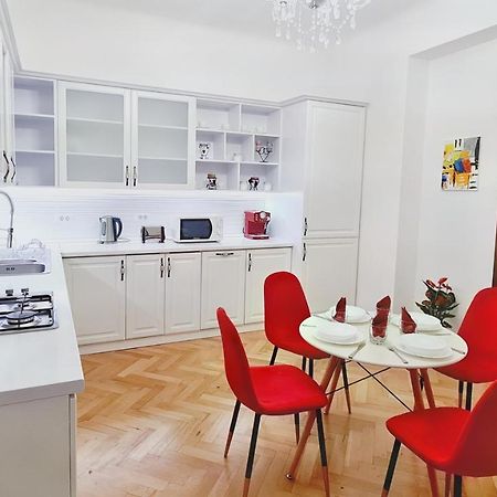 Spacious 5* Luxury In Historic Center Free Parking クルージュ＝ナポカ エクステリア 写真