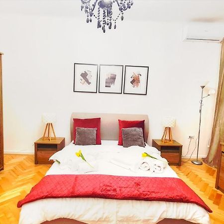 Spacious 5* Luxury In Historic Center Free Parking クルージュ＝ナポカ エクステリア 写真