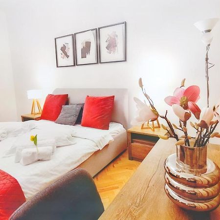 Spacious 5* Luxury In Historic Center Free Parking クルージュ＝ナポカ エクステリア 写真