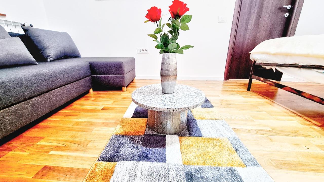 Spacious 5* Luxury In Historic Center Free Parking クルージュ＝ナポカ エクステリア 写真