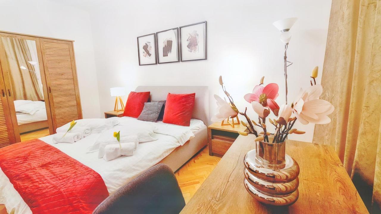 Spacious 5* Luxury In Historic Center Free Parking クルージュ＝ナポカ エクステリア 写真